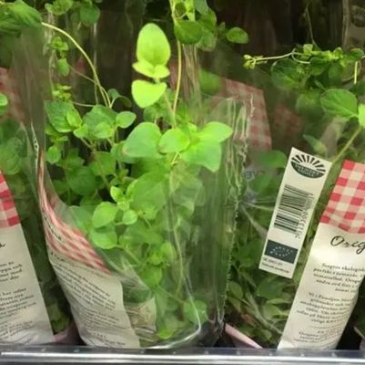 カスタム印刷 透明なBOPPフィルム 包装用花と植物用