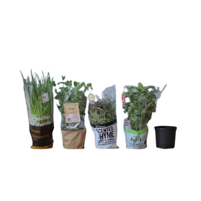 カスタム印刷 透明なBOPPフィルム 包装用花と植物用