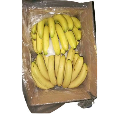 プラスチック バナナ カートン リナー バッグ 果物用の PE 孔付きバッグ