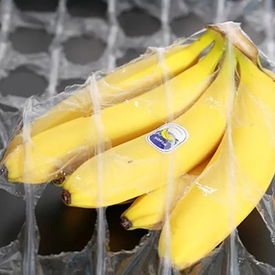 食品と植物用ラップ LDPEストレッチフィルム 500mm X 1420m 250%長さと耐久性のある材料